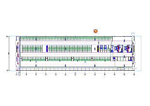 Коровник на 240 дойных коров 