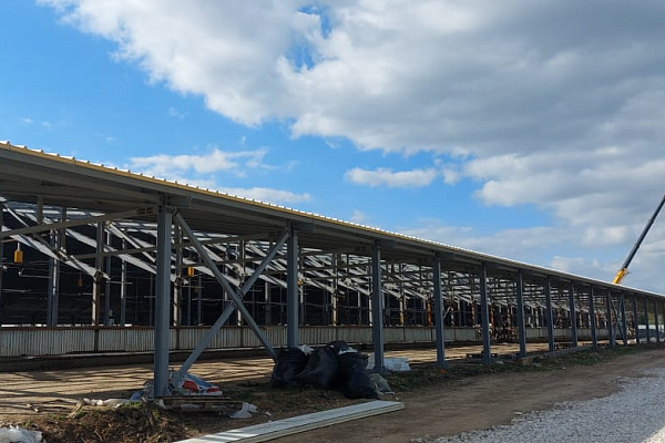 Возводим каркас в Тульской области  