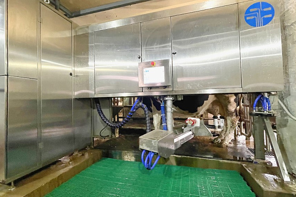 ВОЛШЕБНИК - единственный Российский доильный робот