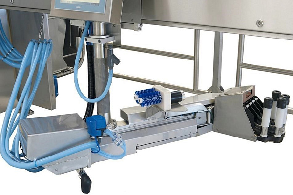 ВОЛШЕБНИК - единственный Российский доильный робот