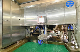 ВОЛШЕБНИК — Робот для доения коров